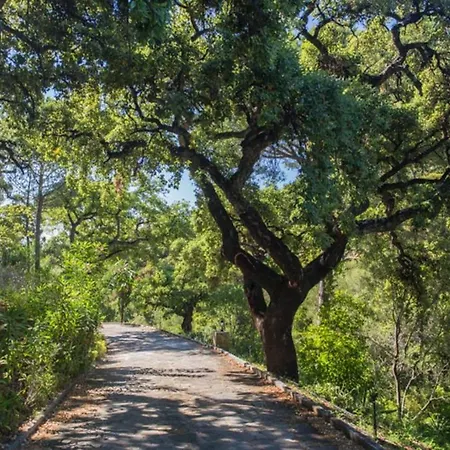 Private 10 Bedroom Nr Marbella, Candela * Бенахавис